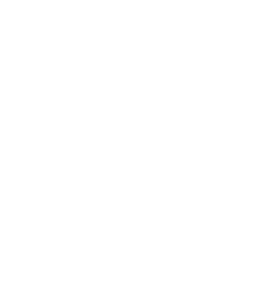 BESPOKE WASHI BY ECHIZEN